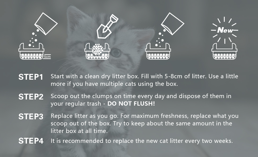 1681281034364884.jpg 猫砂步骤.jpg